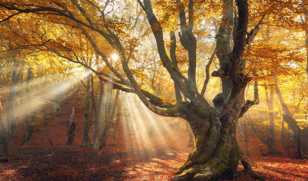 لن ينام أحد هذا الشتاء علي الأرض